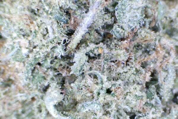 Blue Dream by: Binliu Farms    1/3 oz - Image 5